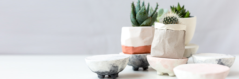 Small potted plants